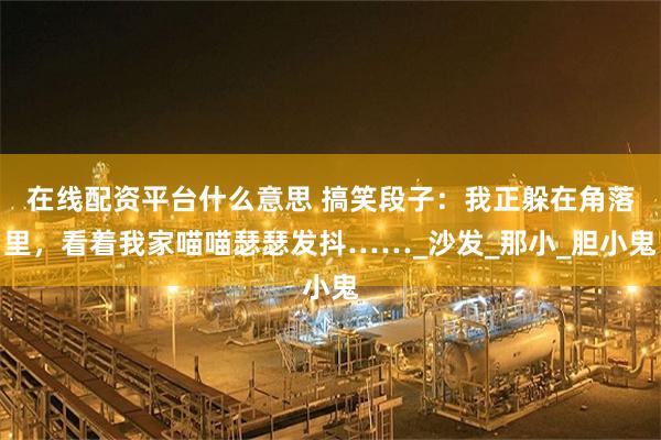在线配资平台什么意思 搞笑段子：我正躲在角落里，看着我家喵喵瑟瑟发抖……_沙发_那小_胆小鬼