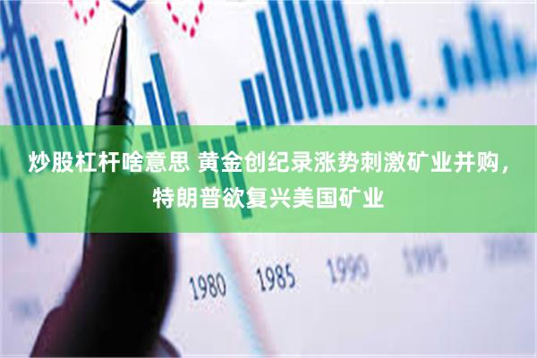炒股杠杆啥意思 黄金创纪录涨势刺激矿业并购，特朗普欲复兴美国矿业