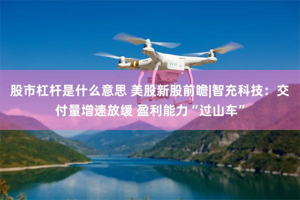 股市杠杆是什么意思 美股新股前瞻|智充科技：交付量增速放缓 盈利能力“过山车”