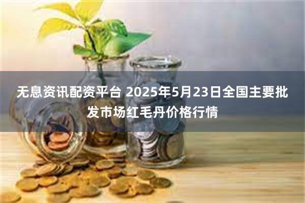 无息资讯配资平台 2025年5月23日全国主要批发市场红毛丹价格行情