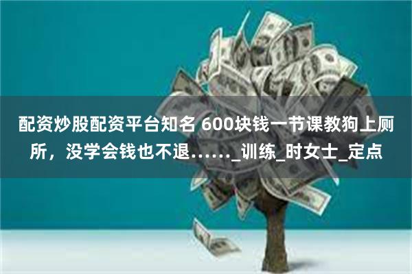 配资炒股配资平台知名 600块钱一节课教狗上厕所，没学会钱也不退……_训练_时女士_定点