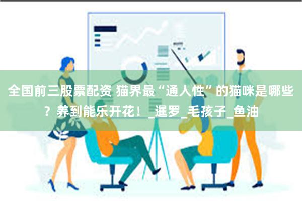 全国前三股票配资 猫界最“通人性”的猫咪是哪些？养到能乐开花！_暹罗_毛孩子_鱼油