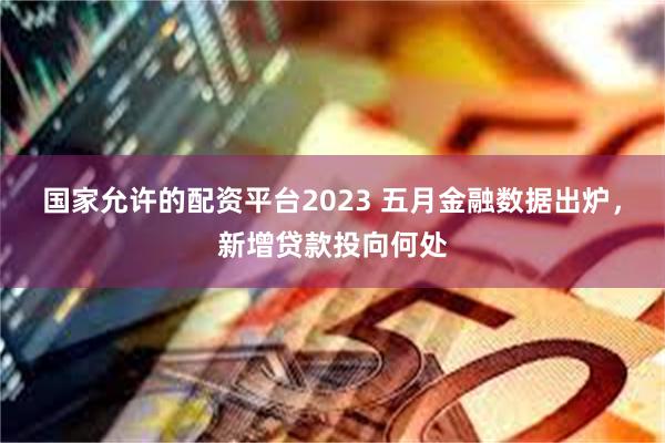 国家允许的配资平台2023 五月金融数据出炉，新增贷款投向何处