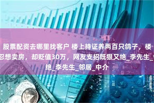 股票配资去哪里找客户 楼上持证养两百只鸽子，楼下忍无可忍想卖房，却贬值30万，网友支招既狠又绝_李先生_邻居_中介